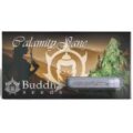 BUDDHA SEEDS - BUDDHA CALAMITY JANE AUTO 3+1 paking