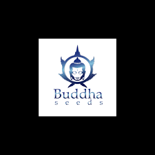 logo budda seeds