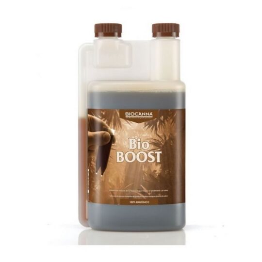 BOOST