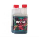 Boost Accelerator Canna 1L