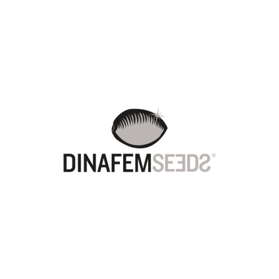 dinafem seeds