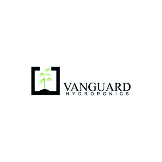 logo vaguard