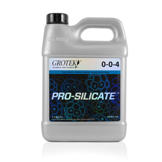 pro silicate