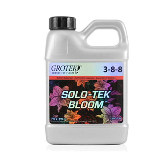 solotek bloom