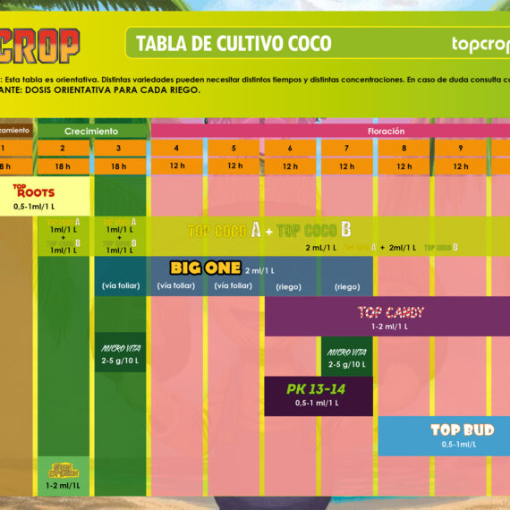 tabla coco top crop