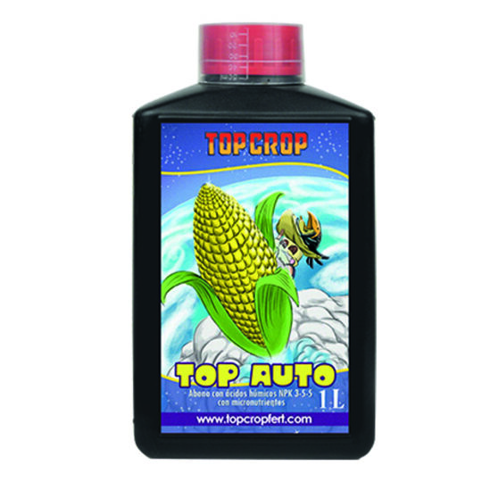 top auto