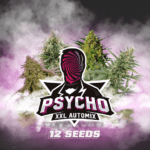 Semilla Psycho XXL AutoMix x12 BSF Seeds