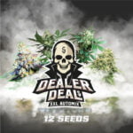 Semilla Dealer Deal XXL x12 AutoMix BSF Seeds