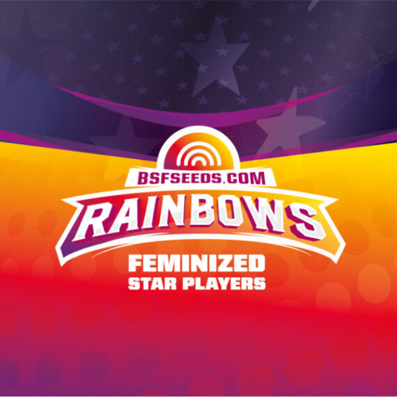 rainbowsfem-logo-600x600