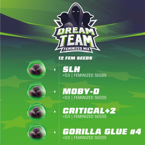 TEAMS-WEB_Dream-team