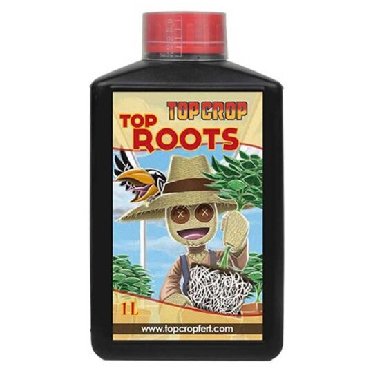 top-roots-top-crop-1L1