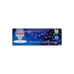Papelillo Blueberry 1 1/4 Hornet