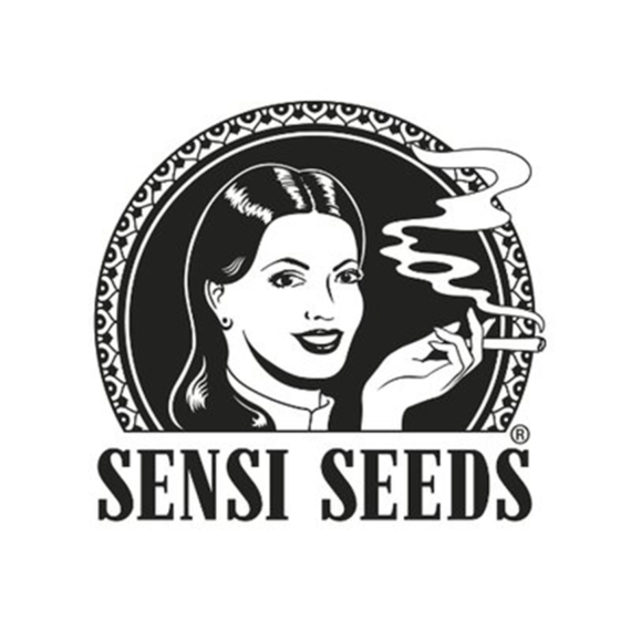 sensi-seeds-og