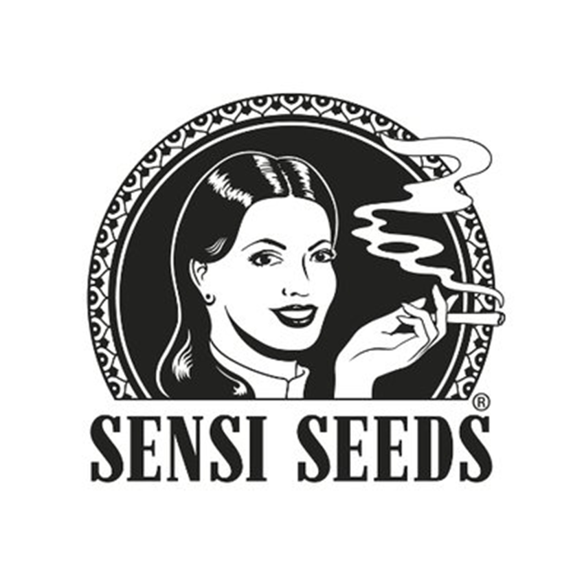 Sensi seeds