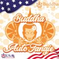271-Buddha-Auto-Tangie