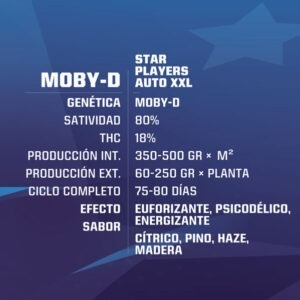 Productos_MOBY-D-AUTO-GEN-1-600x599-1-300x300