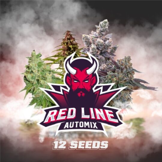 RED-LINE-shop-v2-600x600