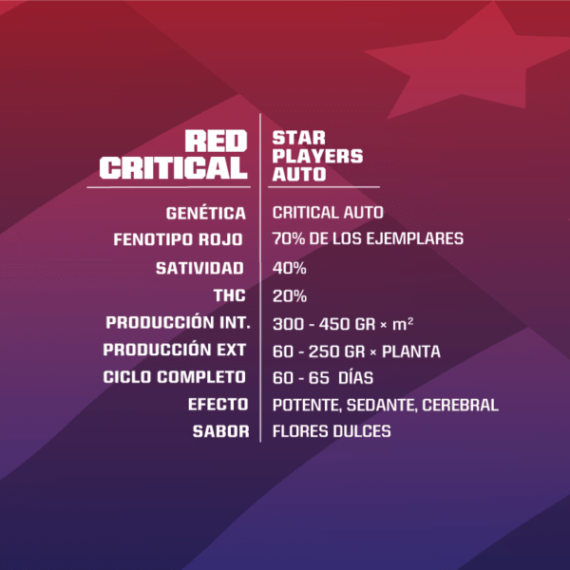 STAR-PLAYER-RED-CRITICAL-ESPAÑOL-600x600