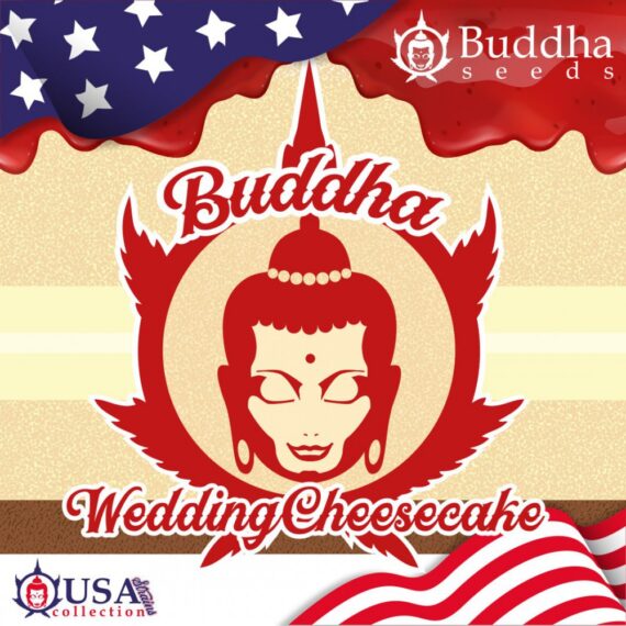 buddha-wedding-cheesecake (1)