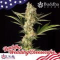 buddha-wedding-cheesecake