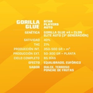 gorillaglueauto-gen-300x300