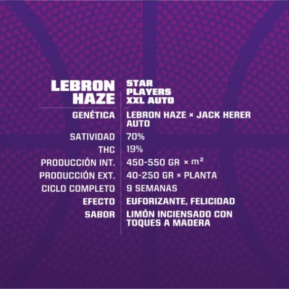 lebronhazeauto-gen-600x600