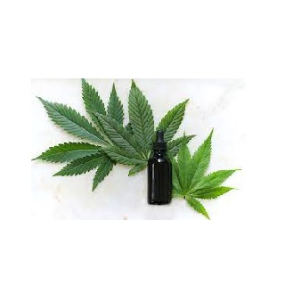 aceite cannabis