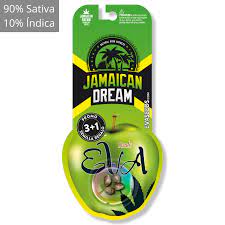 jamaica dream