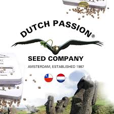 logo dutch passion