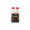 BOOST ACCELERATON CANNA