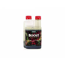 BOOST ACCELERATON CANNA