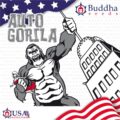 268-Auto-Gorila