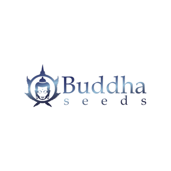 logo Buddha seeds
