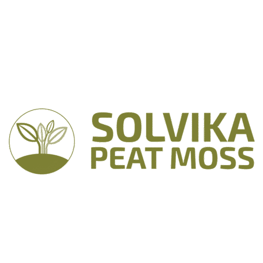 logo solvika