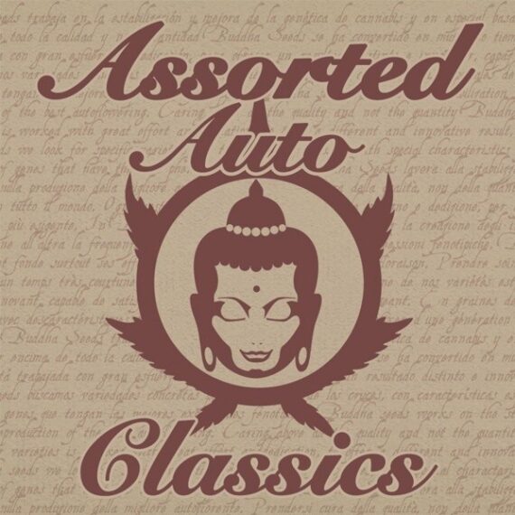 assorted-auto-classics