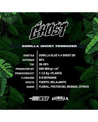 gorilla ghost bsf x 4 2