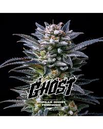 gorilla ghost bsf x 4