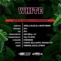 white gorilla bsf x 4