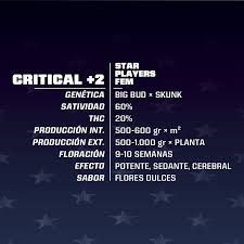 semilla critical +2 fem x4 bsf 1