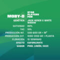semilla moby d bsf 2