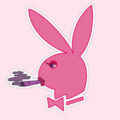 logo baked bunny