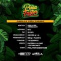 Semilla Gorilla Piña Auto Mix x12 BSF Seeds 1