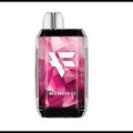 Vaporizador Desechable Fuyl Watermelon Ice 8000 Puff