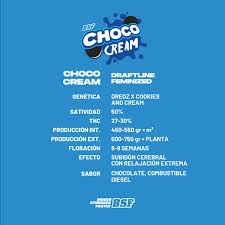 Semilla Choco Cream Feminized Mix x12 BSF Seeds 1