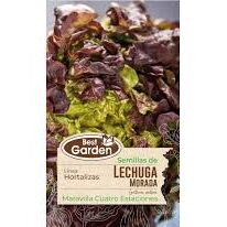 Semilla Lechuga Morada 1gr Best Garden
