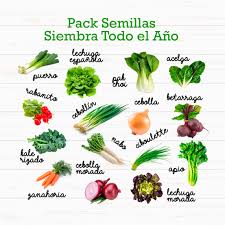 semillas de hortalizas varias