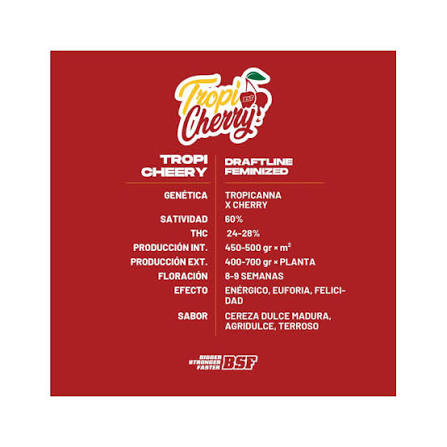 semilla tropi cherry bsf