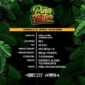 Semilla Piña Faster Gorilla x2 BSF Seeds