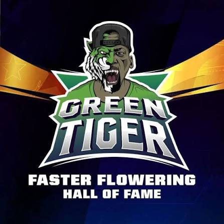 green tiger bsf 1