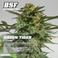 green tiger bsf